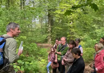 Wildnisschule - Kräuterwanderung Wildkräuterkurse geführte Kräuterwanderung - Wildklang Naturfreunde Bruchsal
